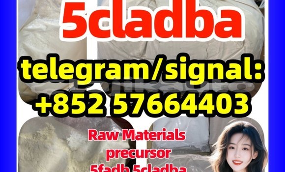 Medium with watermark 5c12