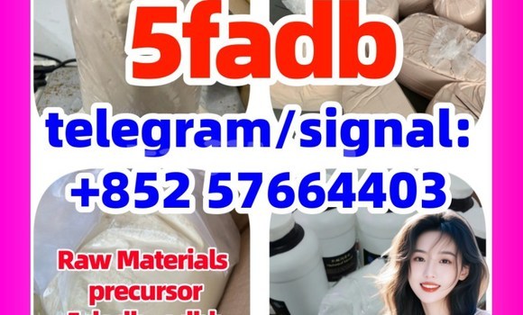 Medium with watermark 5cl2