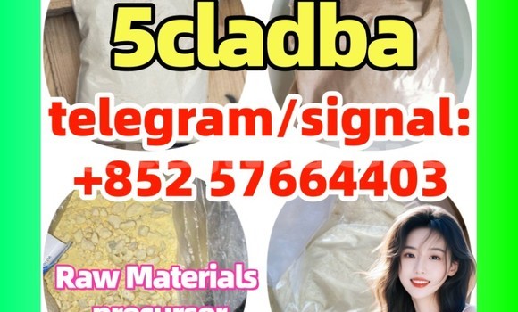 Medium with watermark 52