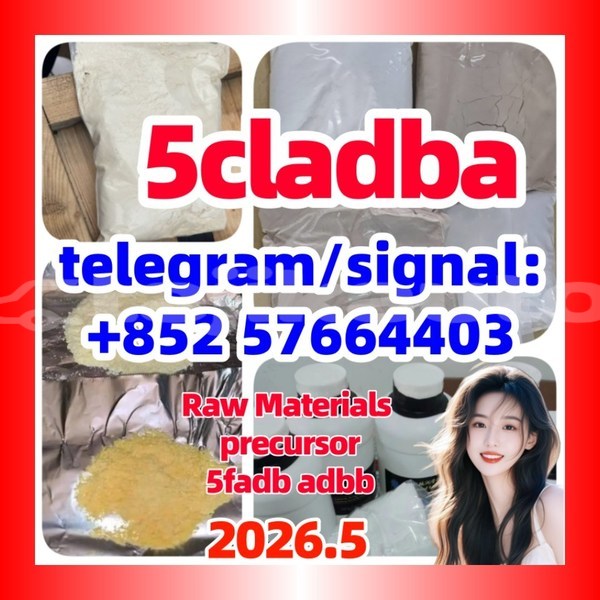 Big with watermark 552