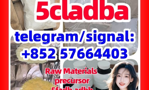 Medium with watermark 552