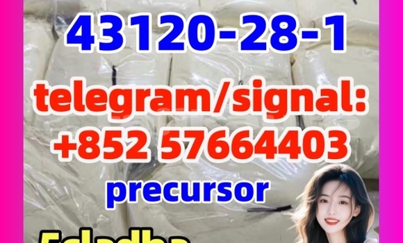 Medium with watermark 5431 2 