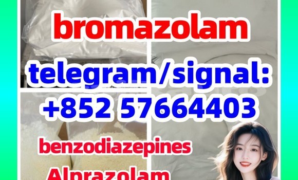 Medium with watermark b2