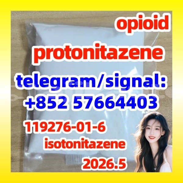 Big with watermark p2