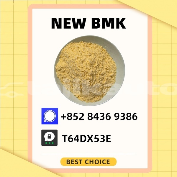 Big with watermark brilliance m1 bs6 khatlon jilikul 20593