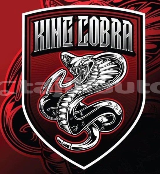 Big with watermark download 4 