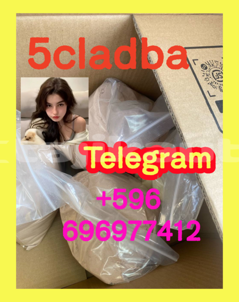 Big with watermark 2.2