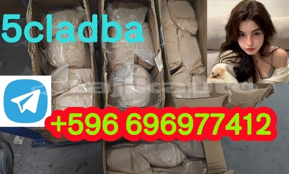 Medium with watermark 2.1