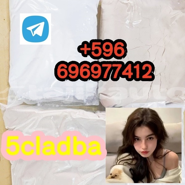 Big with watermark photo 2026 04 21 15 06 43 %e5%89%af%e6%9c%ac2