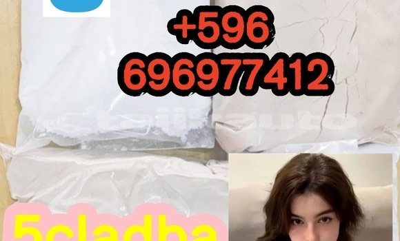 Medium with watermark photo 2026 04 21 15 06 43 %e5%89%af%e6%9c%ac2