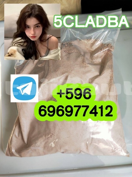 Big with watermark 2.7