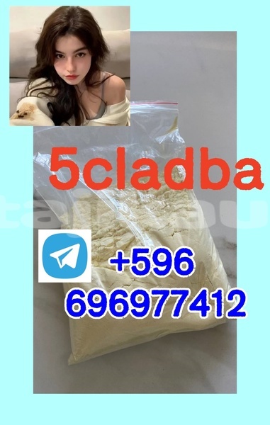 Big with watermark photo 2026 04 29 09 41 22 %e5%89%af%e6%9c%ac