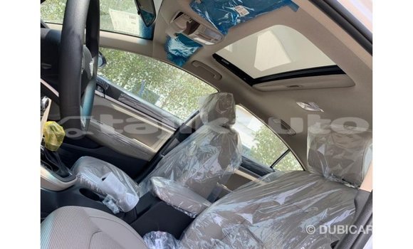 Buy Import Hyundai Elantra White Car in Import - Dubai in Dushanbe Buy Import Hyundai Elantra White Car in Import - Dubai in Dushanbe