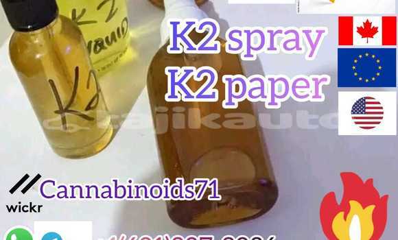 Medium with watermark 000000