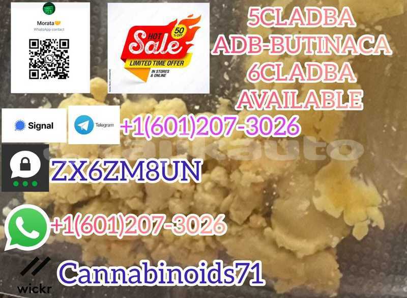 Big with watermark whatsapp image 2023 09 27 at 00.24.40