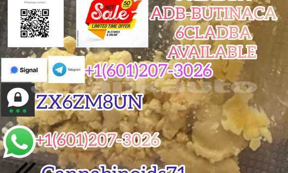 Medium with watermark whatsapp image 2023 09 27 at 00.24.40