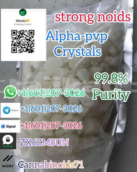 Big with watermark whatsapp image 2023 06 12 at 01.42.13