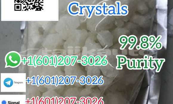 Medium with watermark whatsapp image 2023 06 12 at 01.42.13