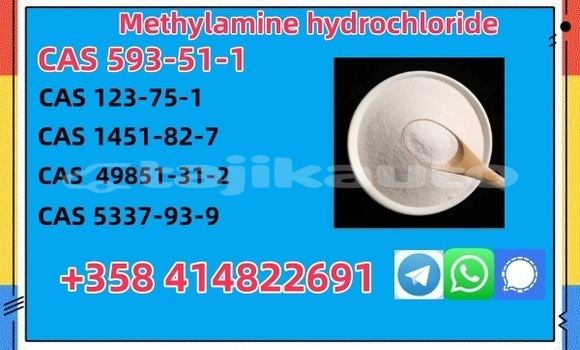 Medium with watermark 593 51 1.