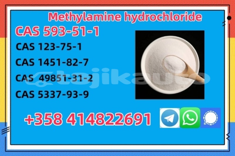 Big with watermark 593 51 1