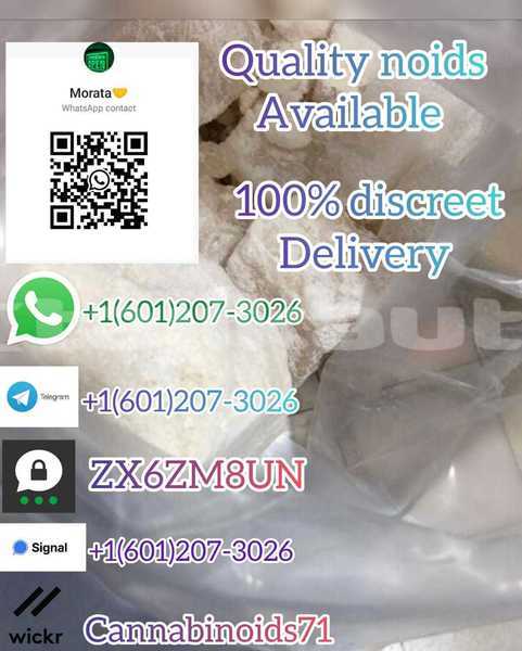 Big with watermark whatsapp image 2023 06 12 at 01.42.12 4 