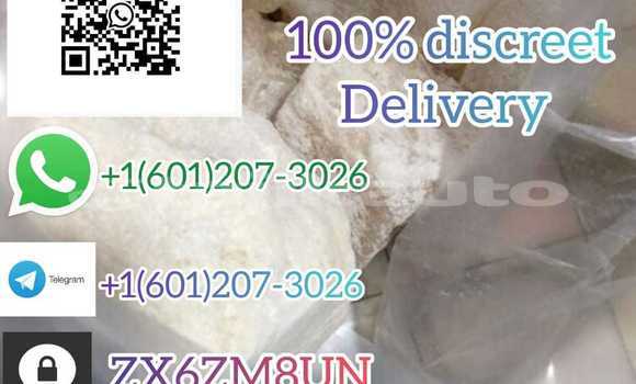 Medium with watermark whatsapp image 2023 06 12 at 01.42.12 4 