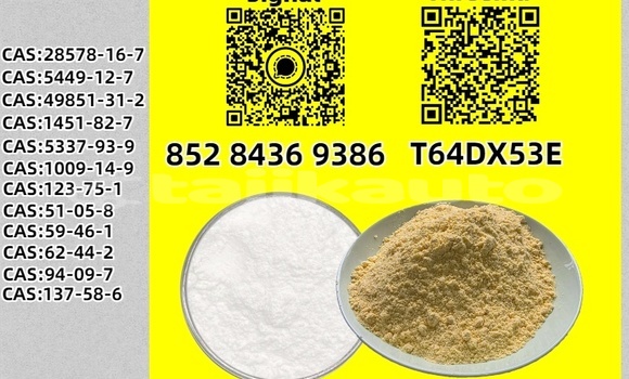 Buy Used GAC Trumpchi GS8 Blue Car in Kofarnihon in Karotegin