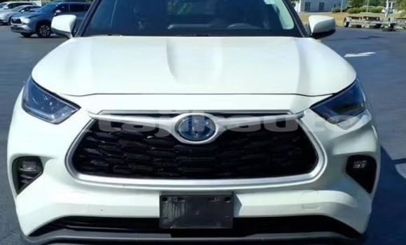 Buy Used Toyota Highlander White Car in Buston in Sughd