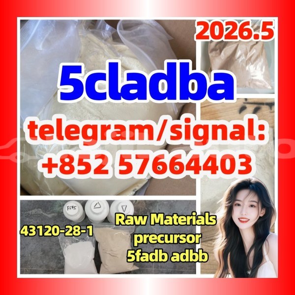 Big with watermark 5c5