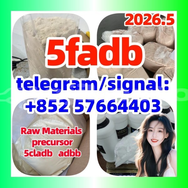 Big with watermark 5cl5