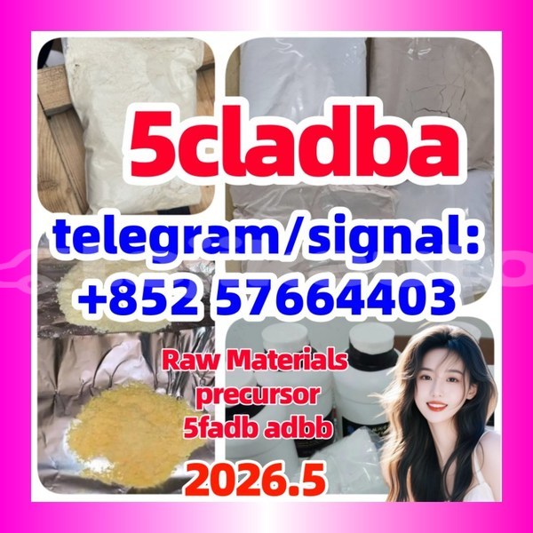 Big with watermark 555