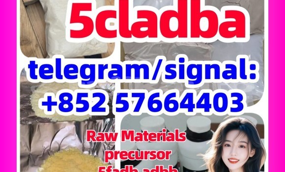 Medium with watermark 555