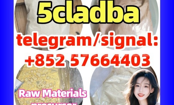 Medium with watermark 55