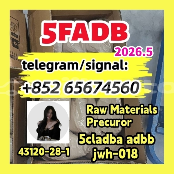 Big with watermark photo 2026 03 04 1dvgerth0 21 30 %e5%89%af%e6%9c%ac %e5%89%af%e6%9c%ac