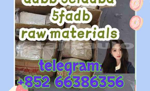 Medium with watermark 1