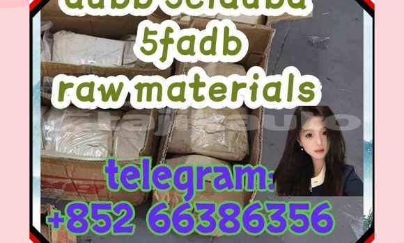 Medium with watermark 2