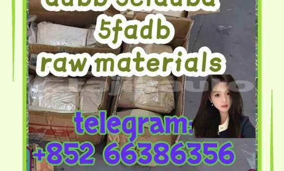 Medium with watermark 6