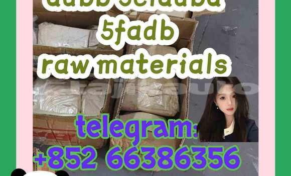 Medium with watermark 7
