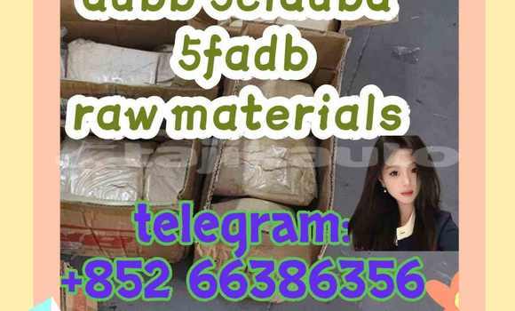 Medium with watermark 8