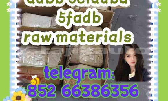Medium with watermark 10