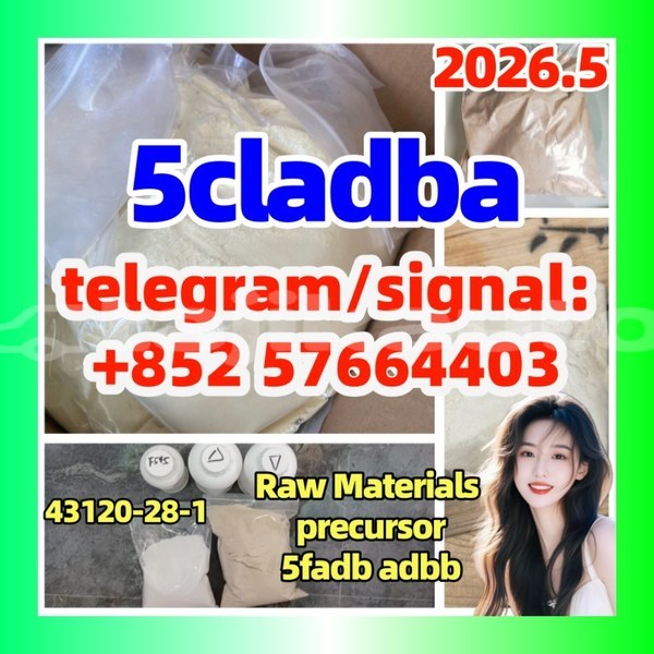Big with watermark 5c1