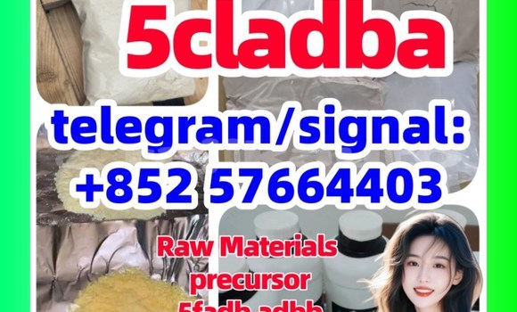 Medium with watermark 553