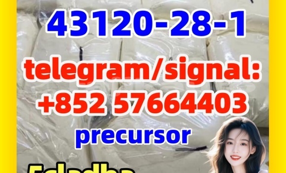 Medium with watermark 5431 4