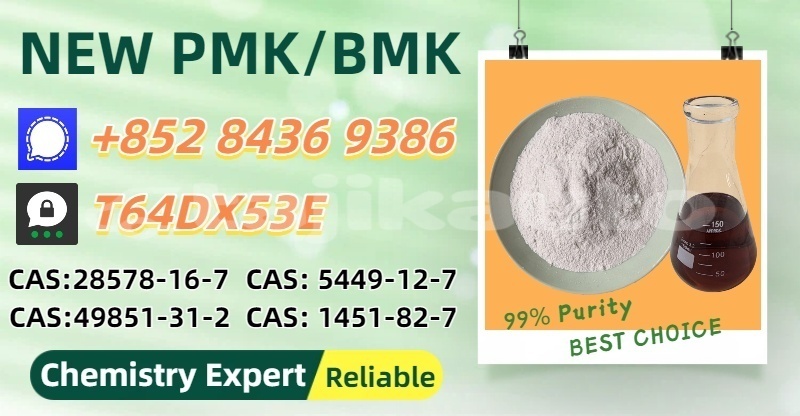 Big with watermark bedford cfl khatlon kumsangir 22226