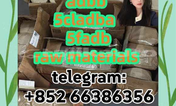 Medium with watermark 1