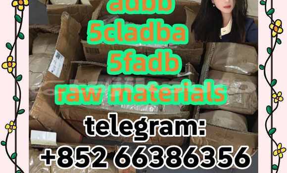 Medium with watermark 3