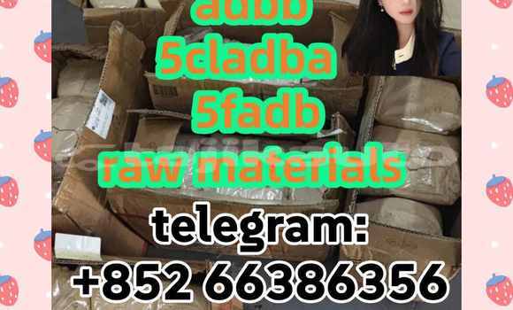 Medium with watermark 5