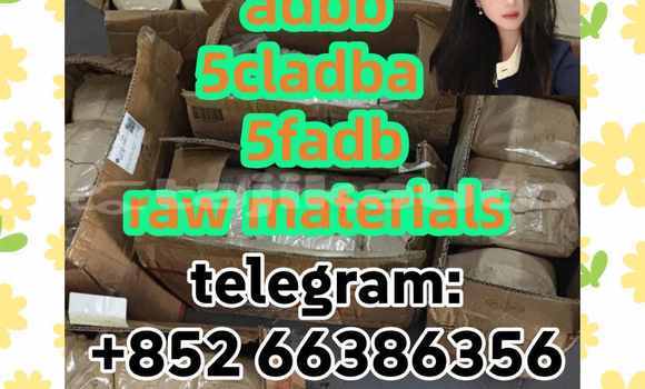 Medium with watermark 6