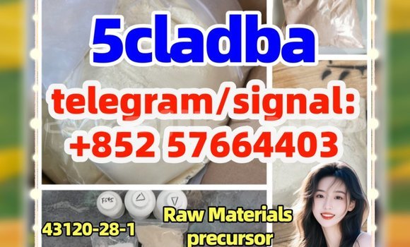 Medium with watermark 5c1