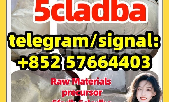 Medium with watermark 5c11